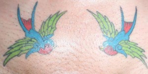 Swallows