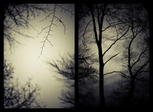 ABOVE: Black metal album covers have been trying to warm us for years.