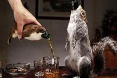 weird alcohol weird alcohol
